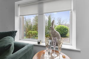 Photo 19- click for photo gallery